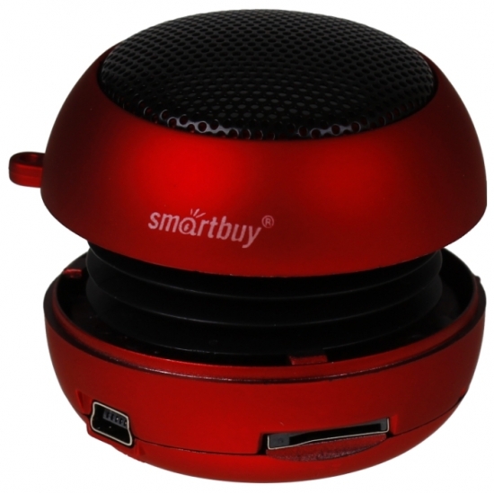 SmartBuy Beetle (SBS-2700)/100
