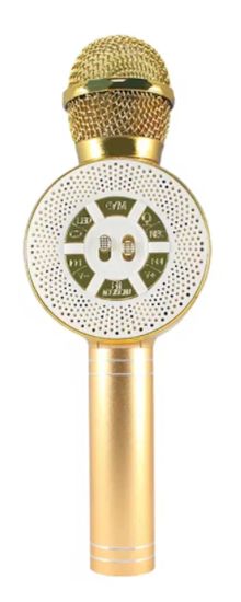 multibrand Микрофон-караоке WSTER WS-669 (золото)