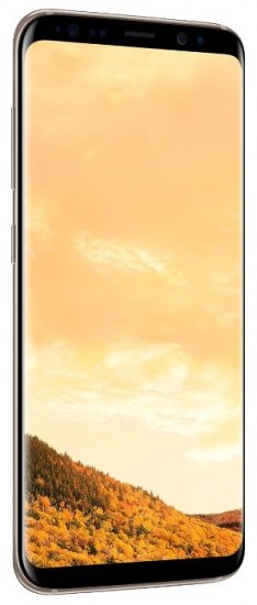 Samsung Galaxy S8 Plus 4/64Gb