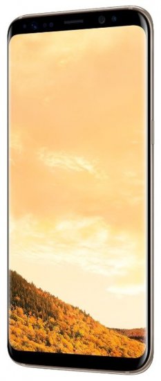 Samsung Galaxy S8 Plus 4/64Gb