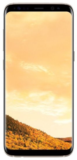 Samsung Galaxy S8 Plus 4/64Gb