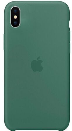 Apple Silicon Case для Apple iPhone X/Xs Pine Green *