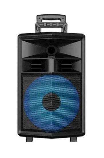 Sing-e ZQS12130 (3000mAh, 1*12inch/60W, AUX/USB/TF/FM/MIC+MIC, пульт ДУ)