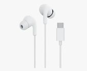 Наушники проводные Xiaomi Mi Type-C M2413E1 (белый)