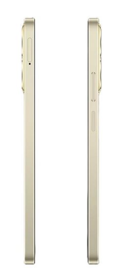 Realme C61 8/128Gb (золото)